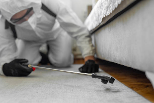 Professional Pest Control technician working in Rio, VA