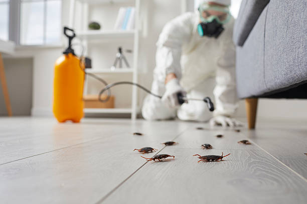 Affordable Pest Control solutions in Rio, VA