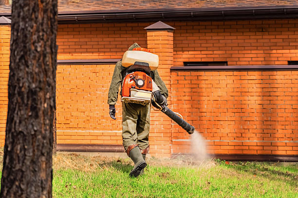 Top rated local Pest Control specialists in Rio, VA